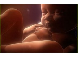 Contro l'aborto.
Una battaglia di civiltà